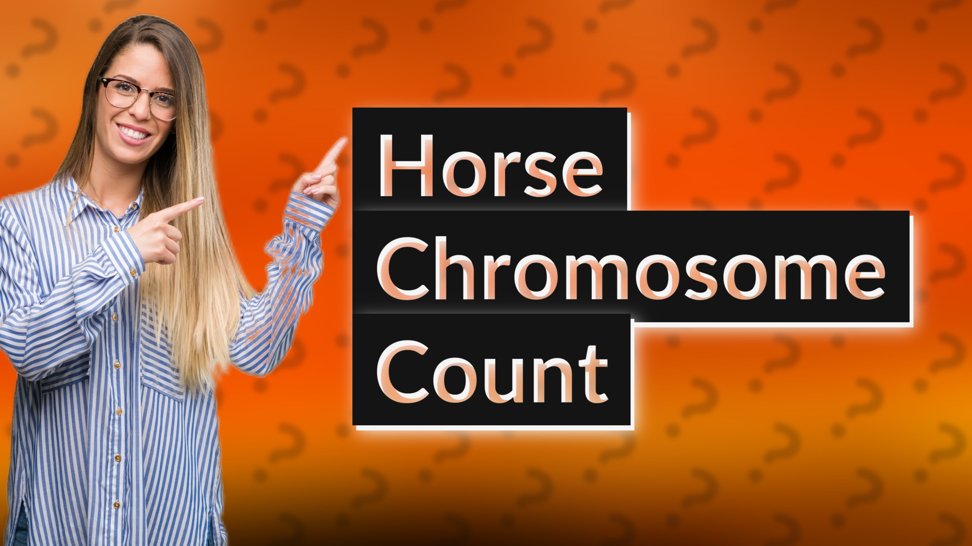 Horse Chromosome Count