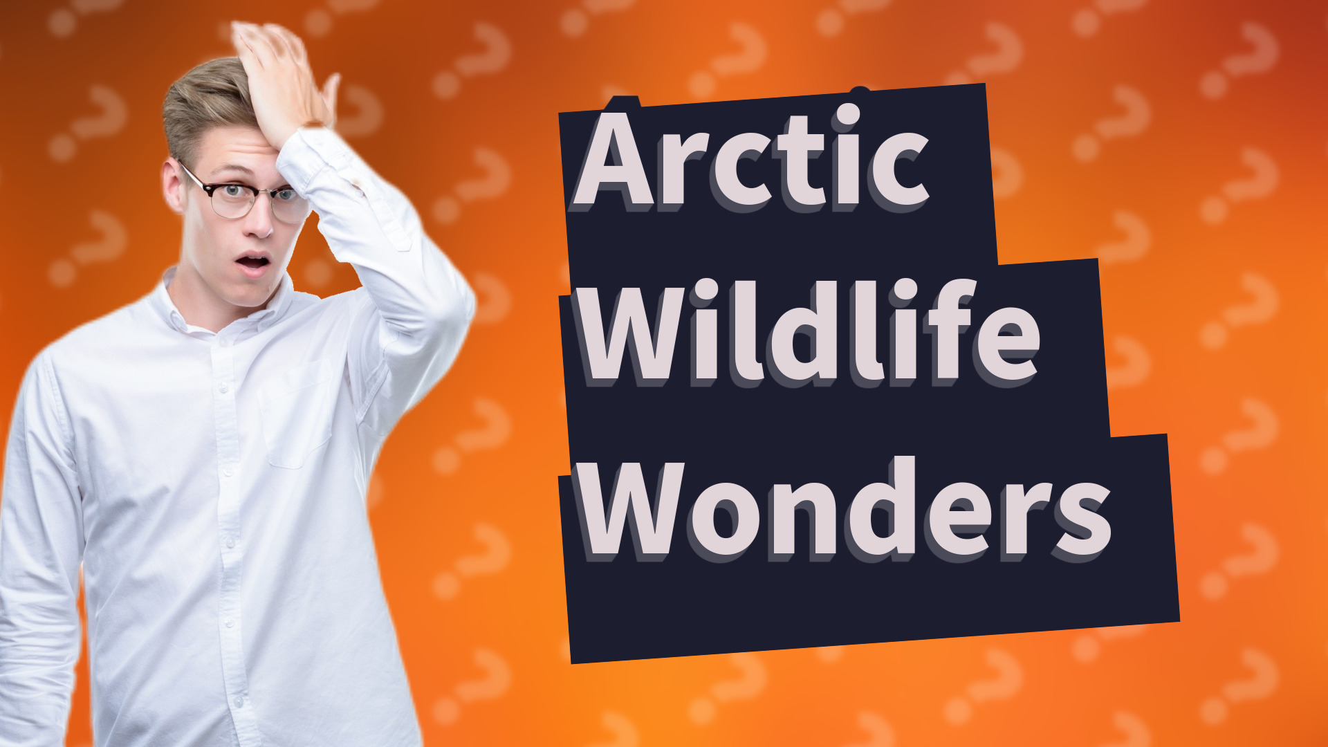 Arctic Wildlife Wonders