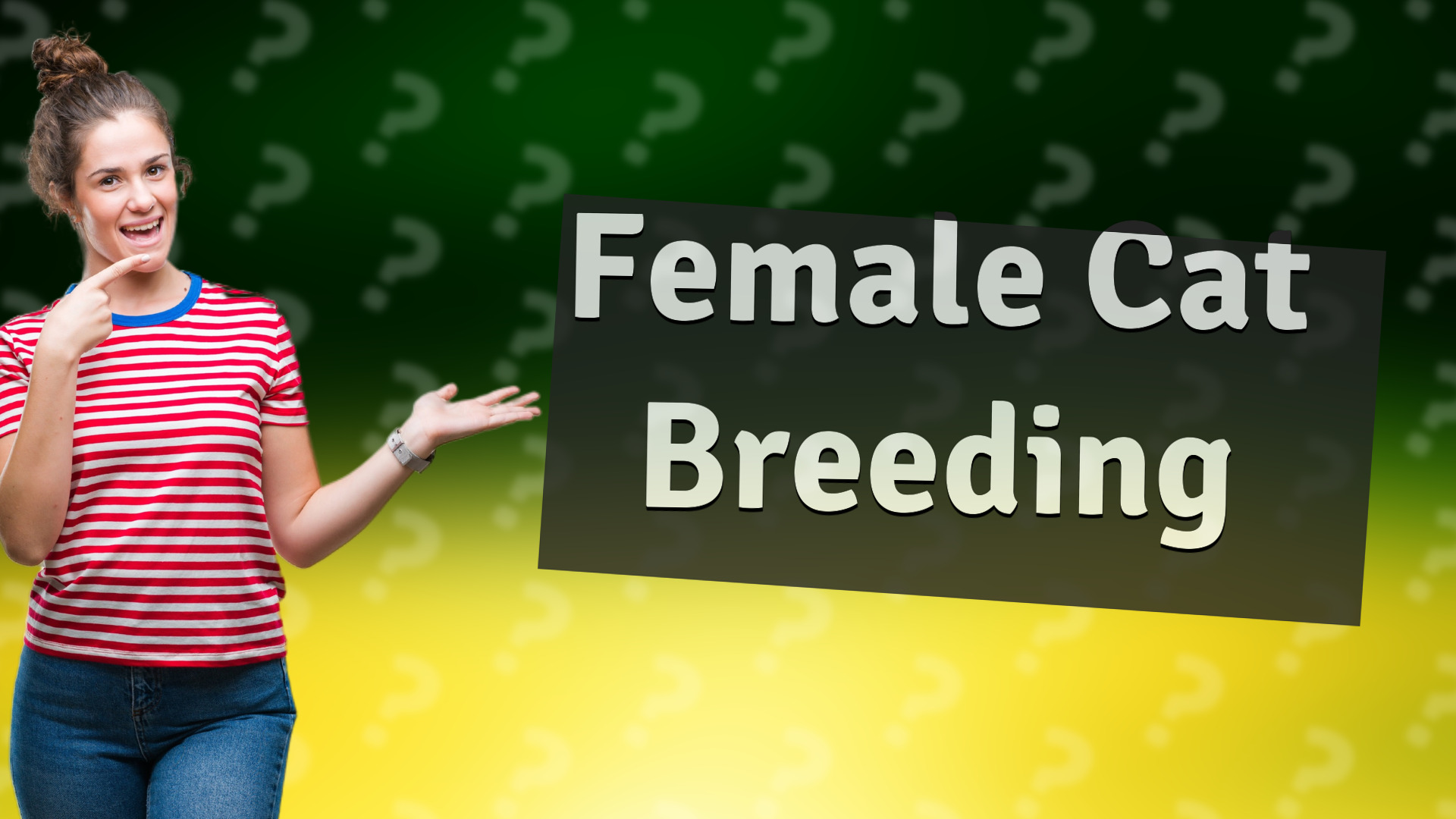 Female Cat Breeding