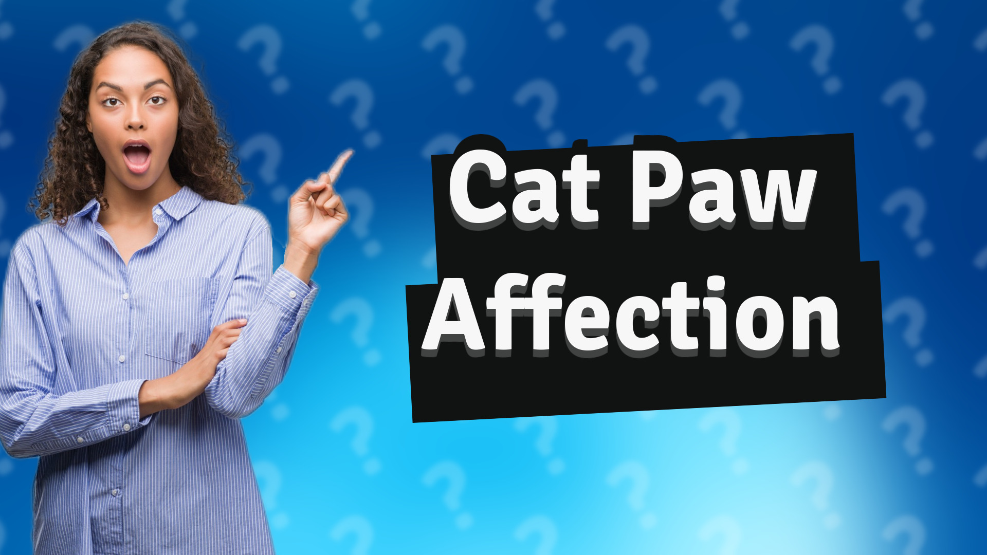 Cat Paw Affection