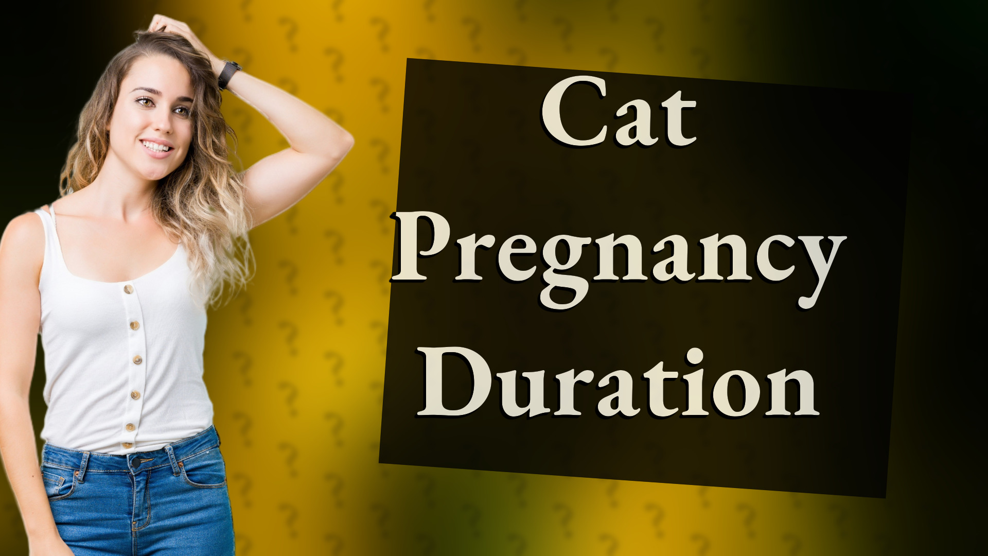 Cat Pregnancy Duration