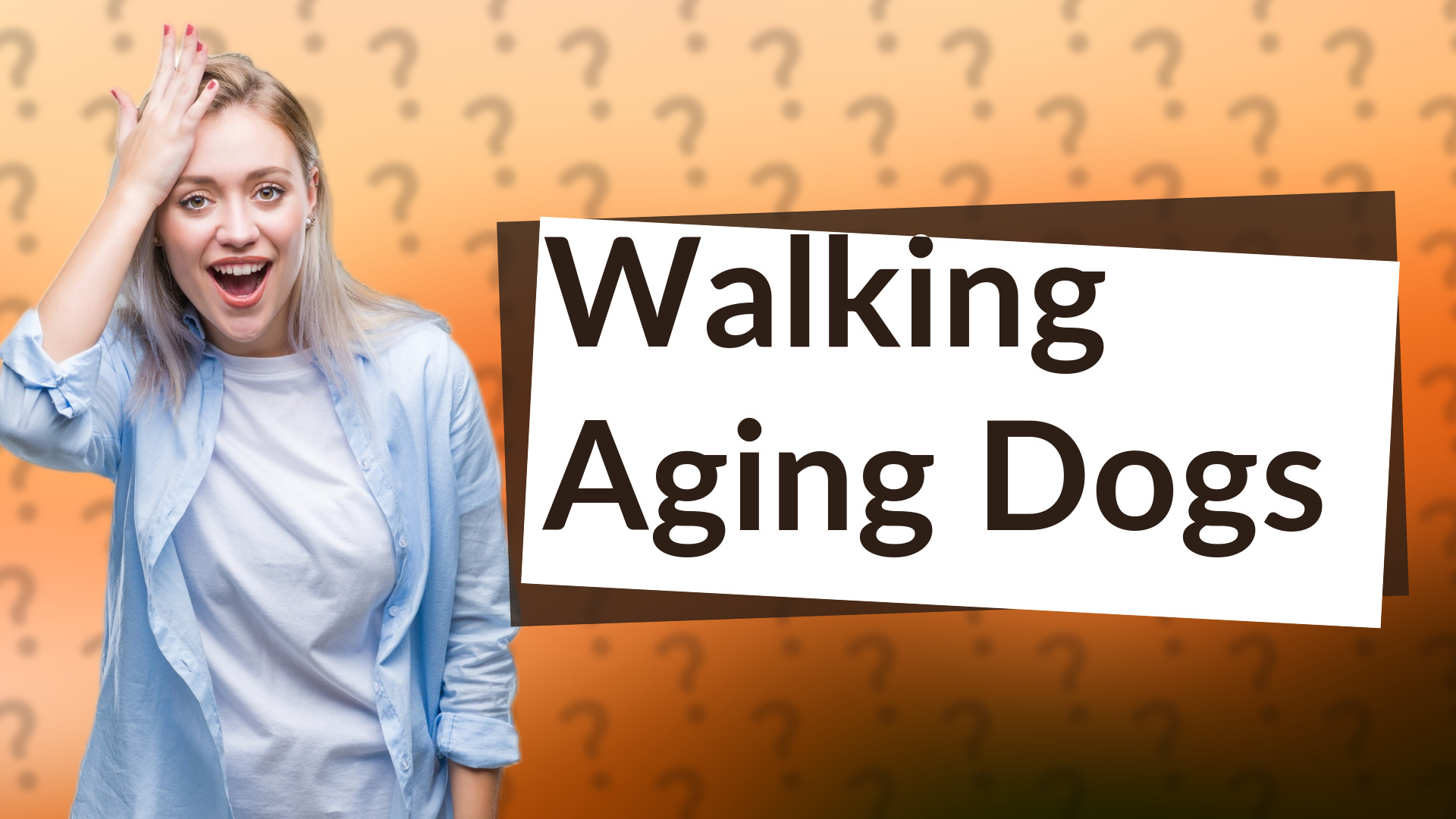 Walking Aging Dogs