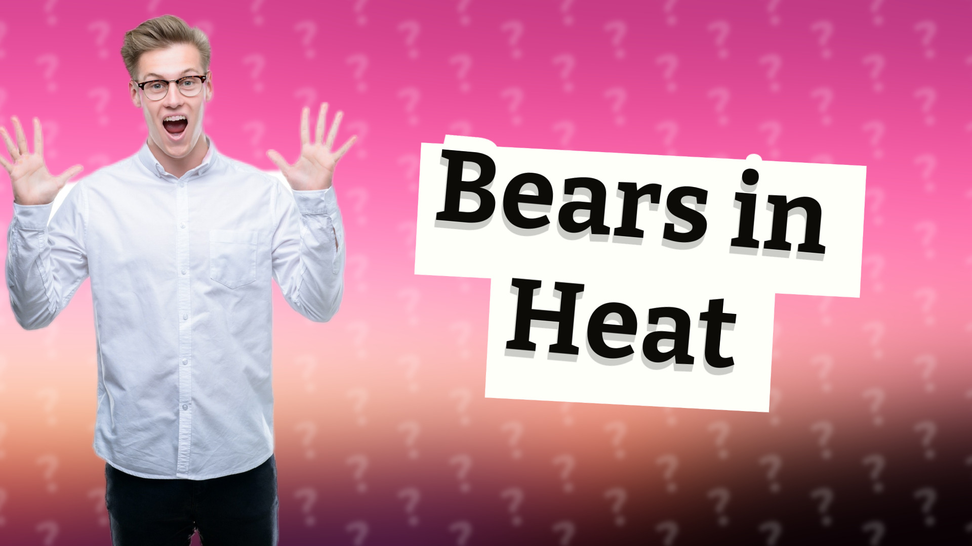 Bears in Heat