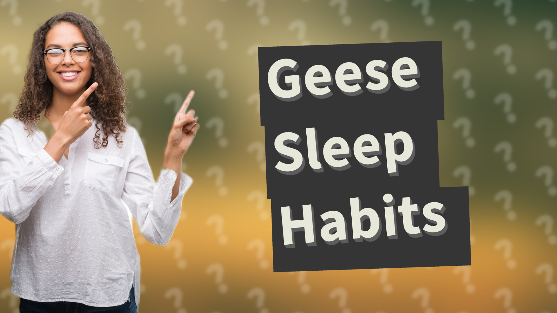 Geese Sleep Habits