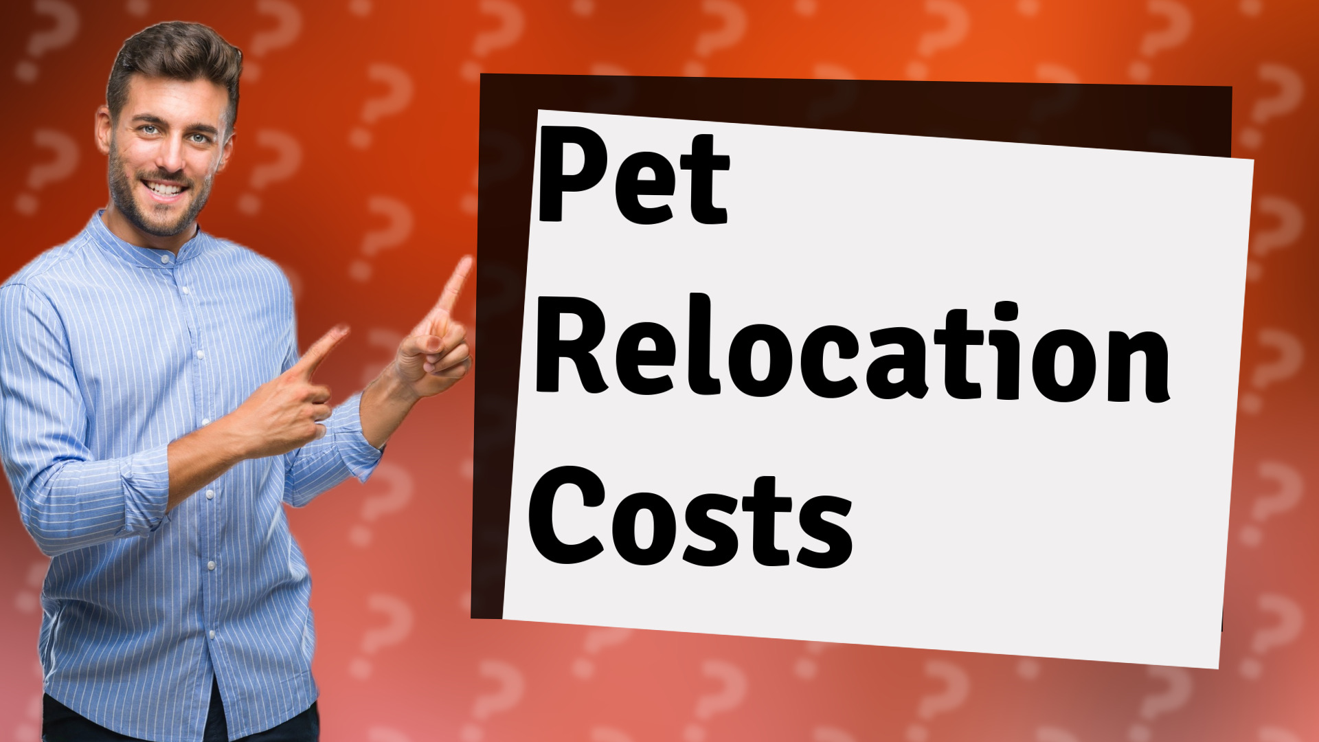 Pet Relocation Costs