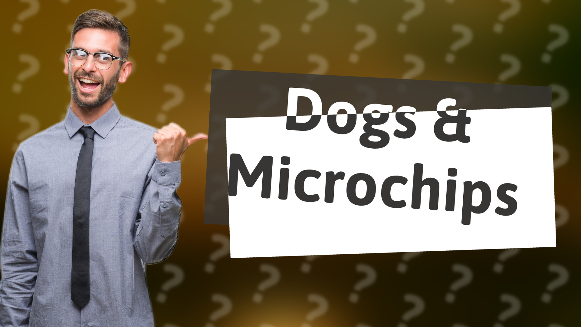 Dogs & Microchips