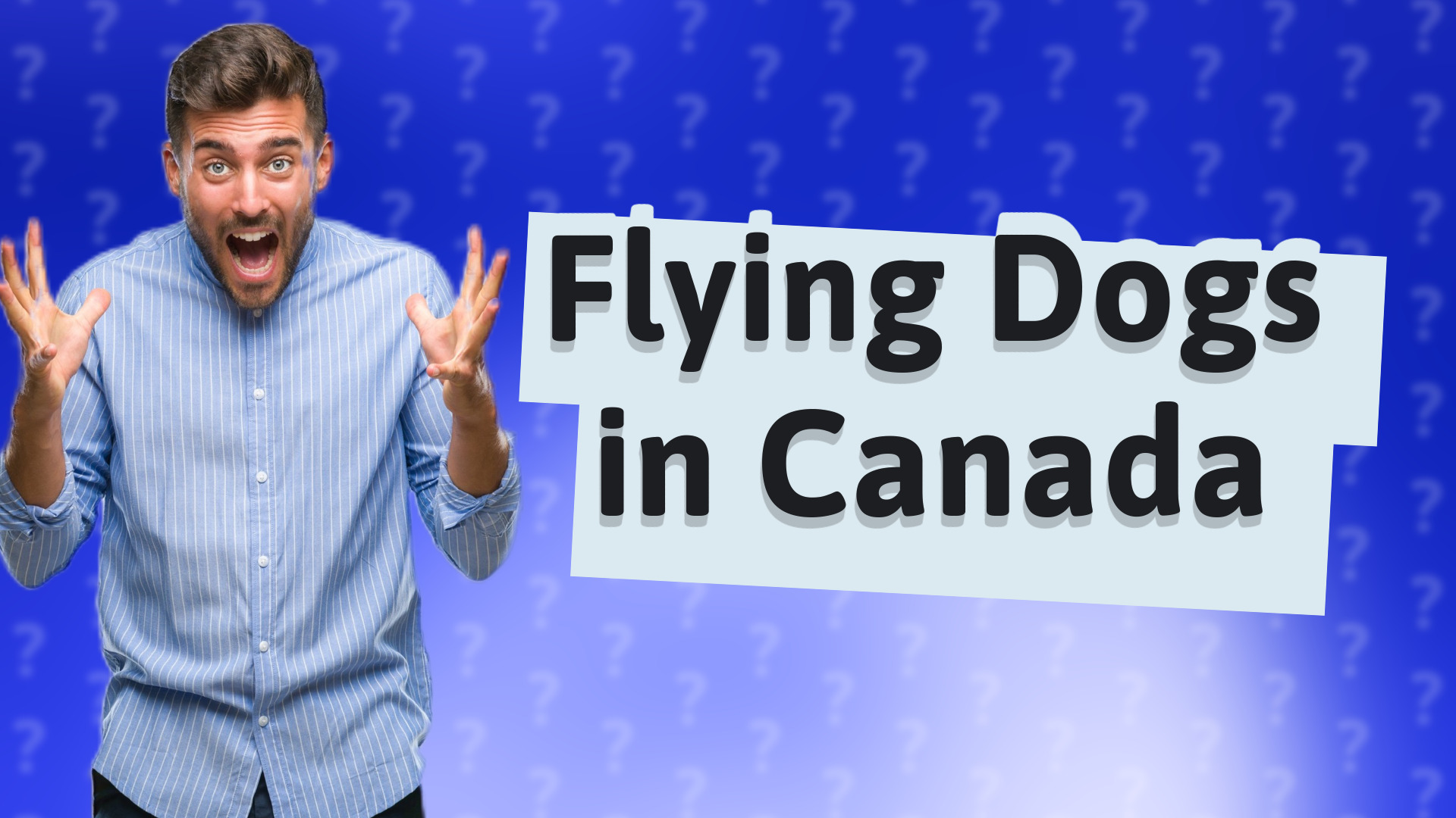 Flying Dogs in Canada