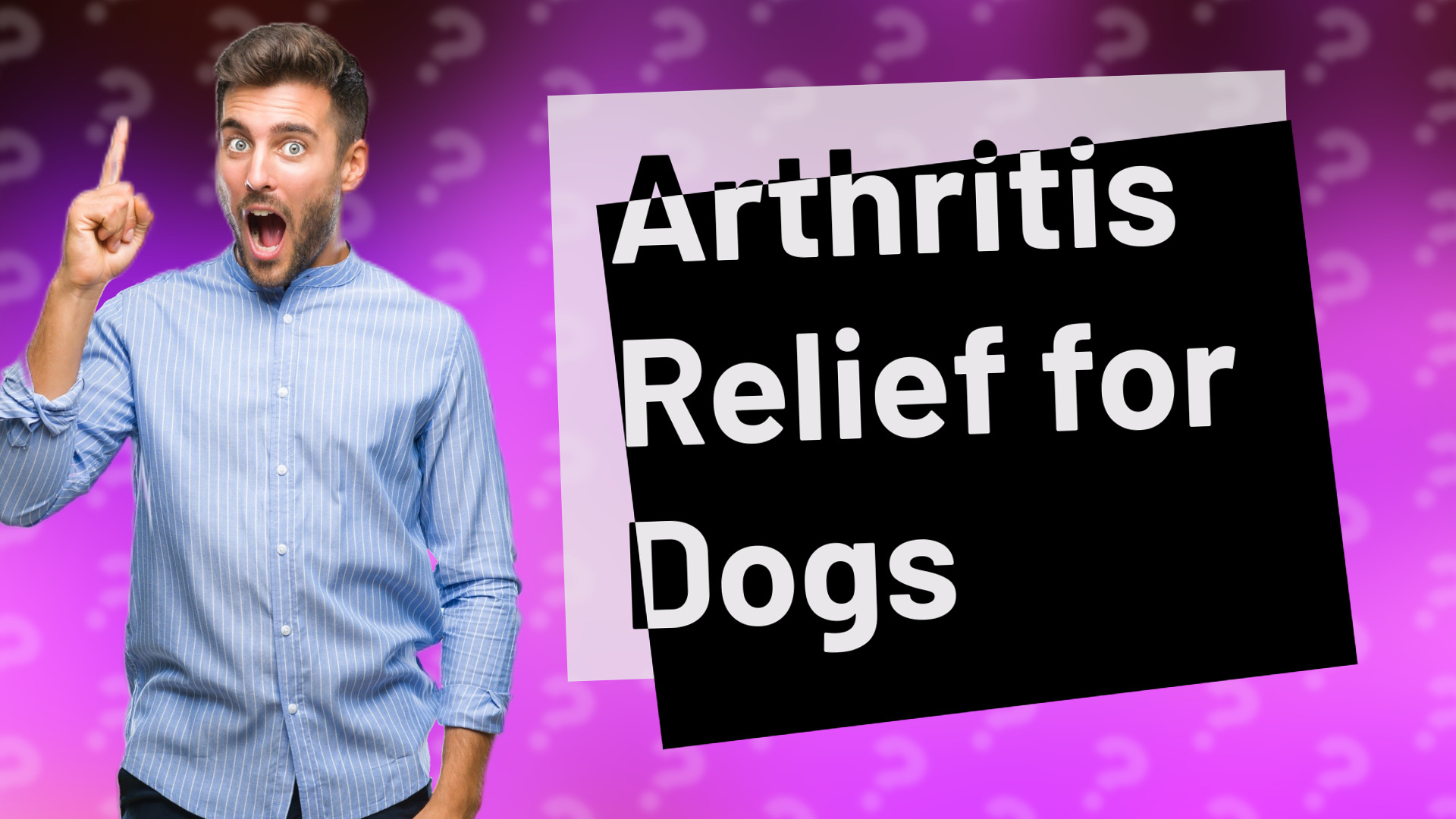 Arthritis Relief for Dogs