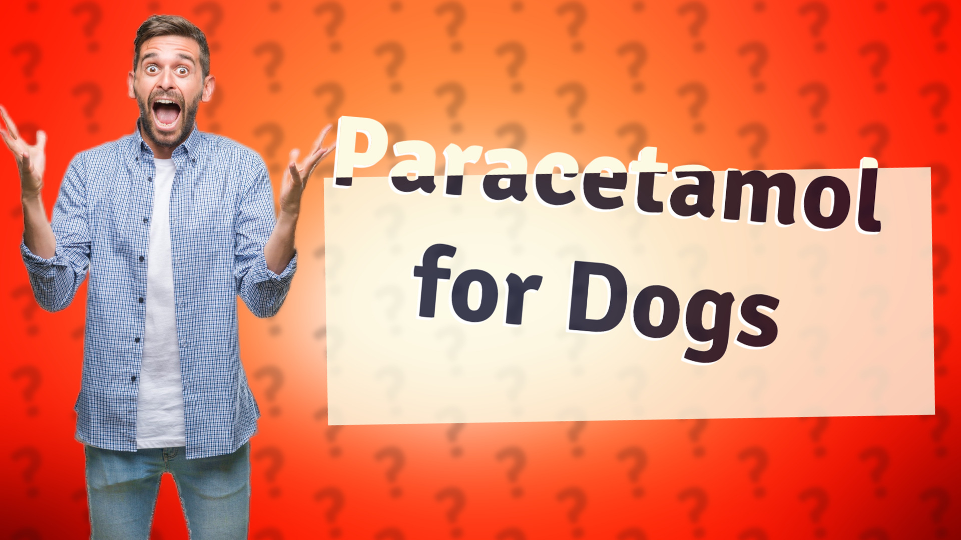 Paracetamol for Dogs