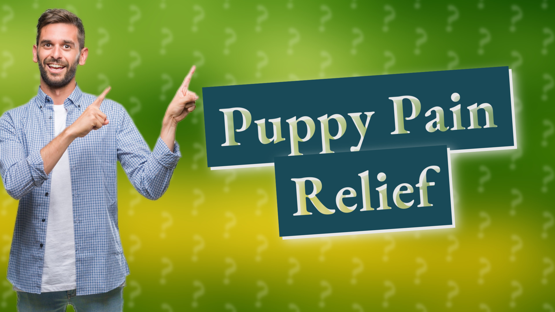 Puppy Pain Relief