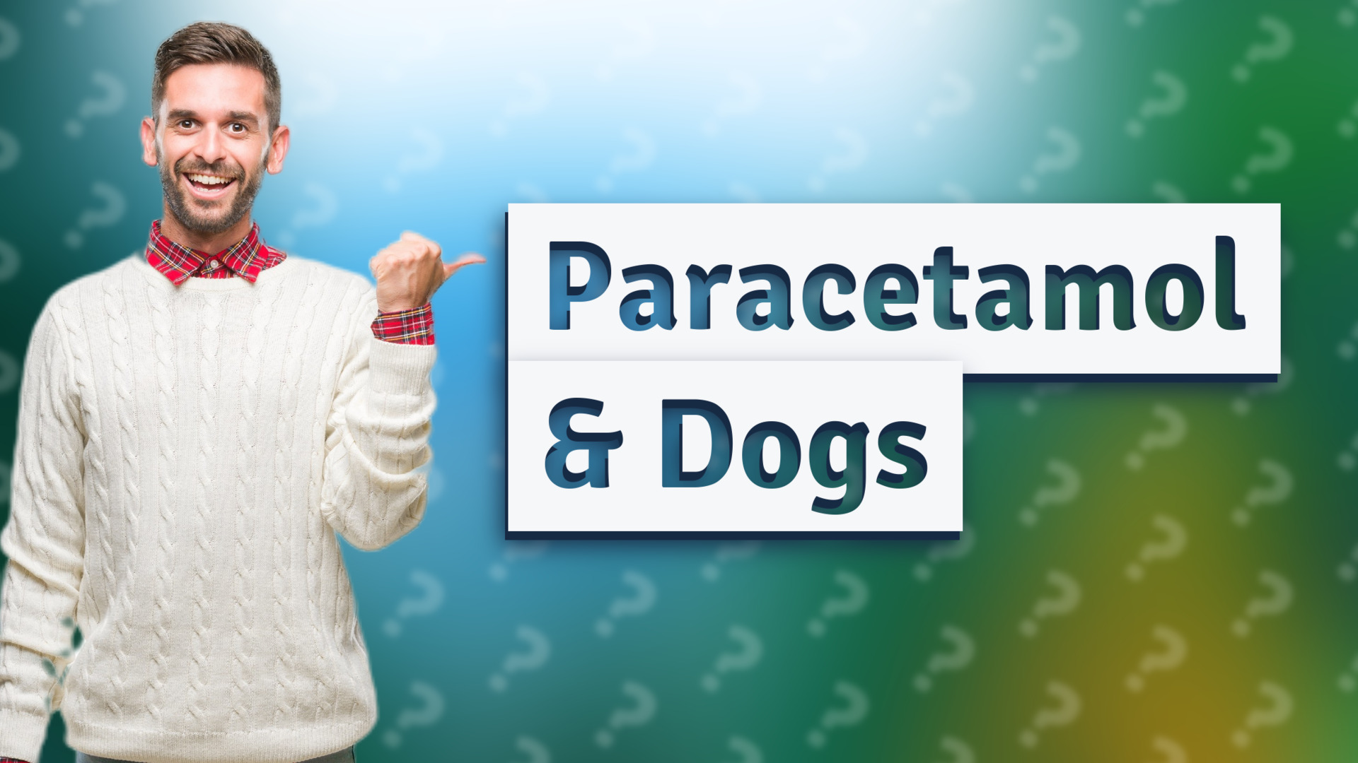 Paracetamol & Dogs