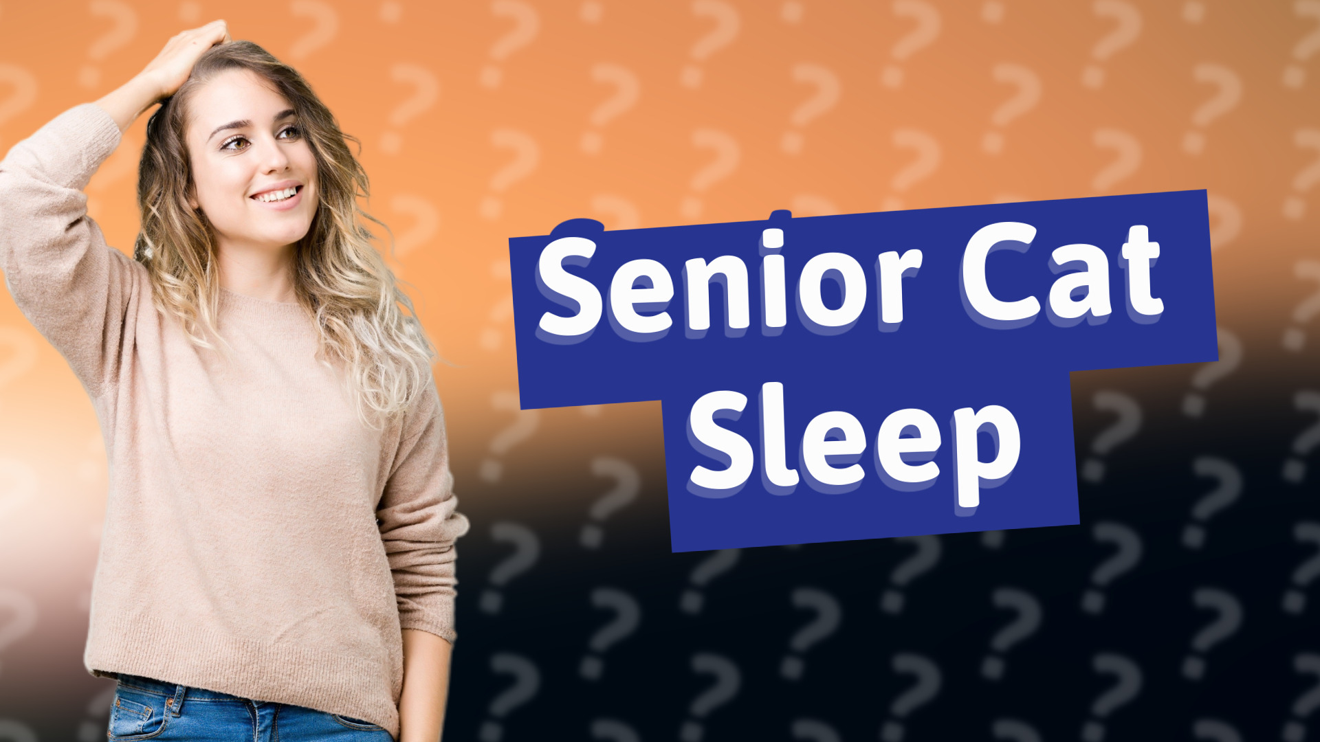 Senior Cat Sleep