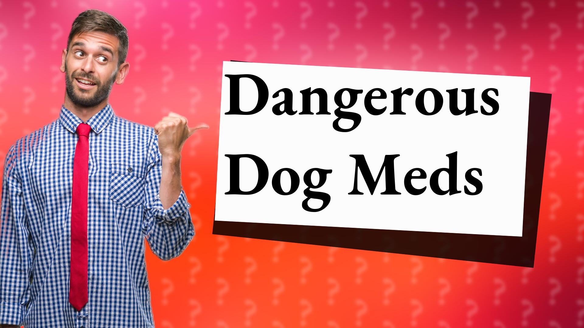 Dangerous Dog Meds