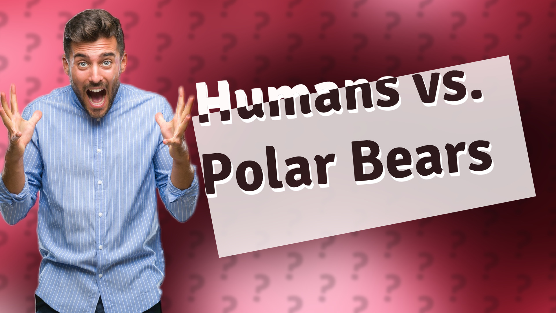 Humans vs. Polar Bears
