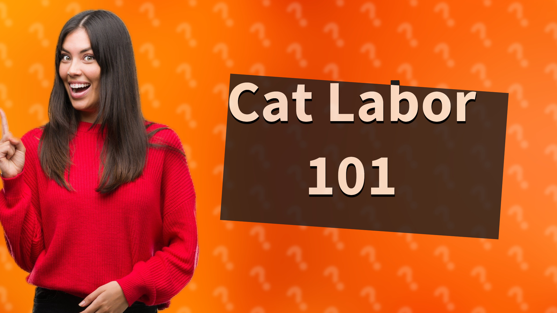 Cat Labor 101