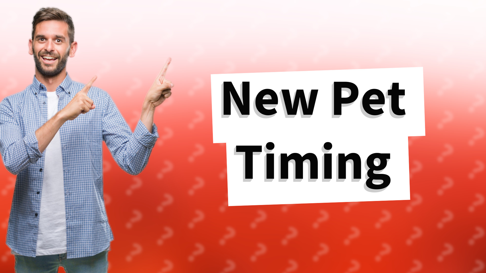 New Pet Timing