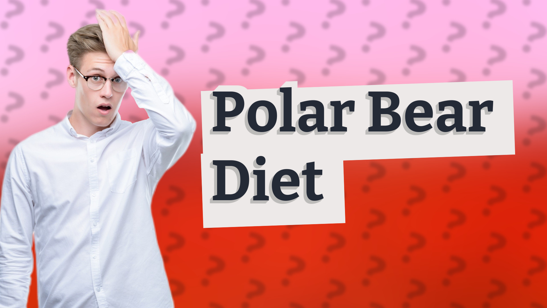 Polar Bear Diet