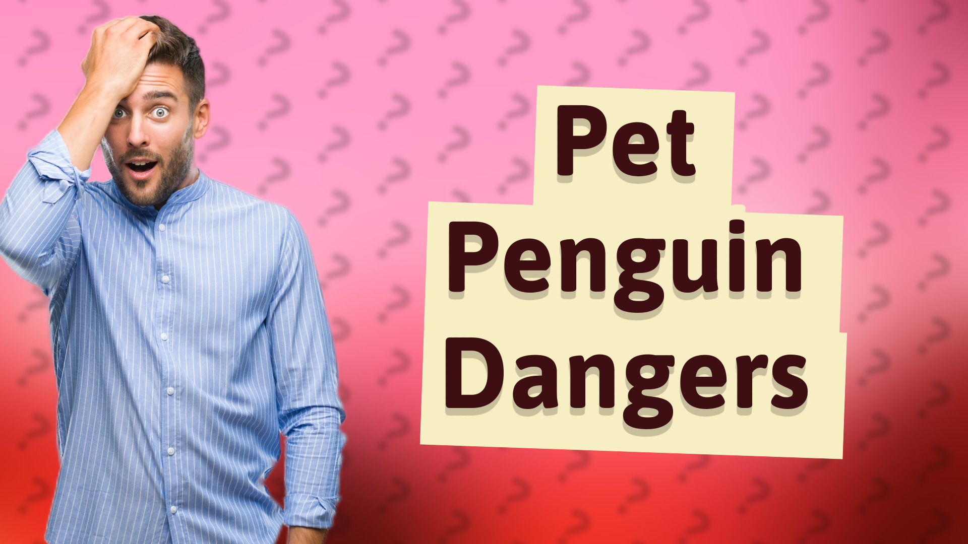 Pet Penguin Dangers