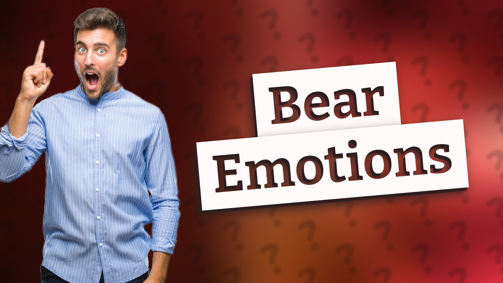 Bear Emotions