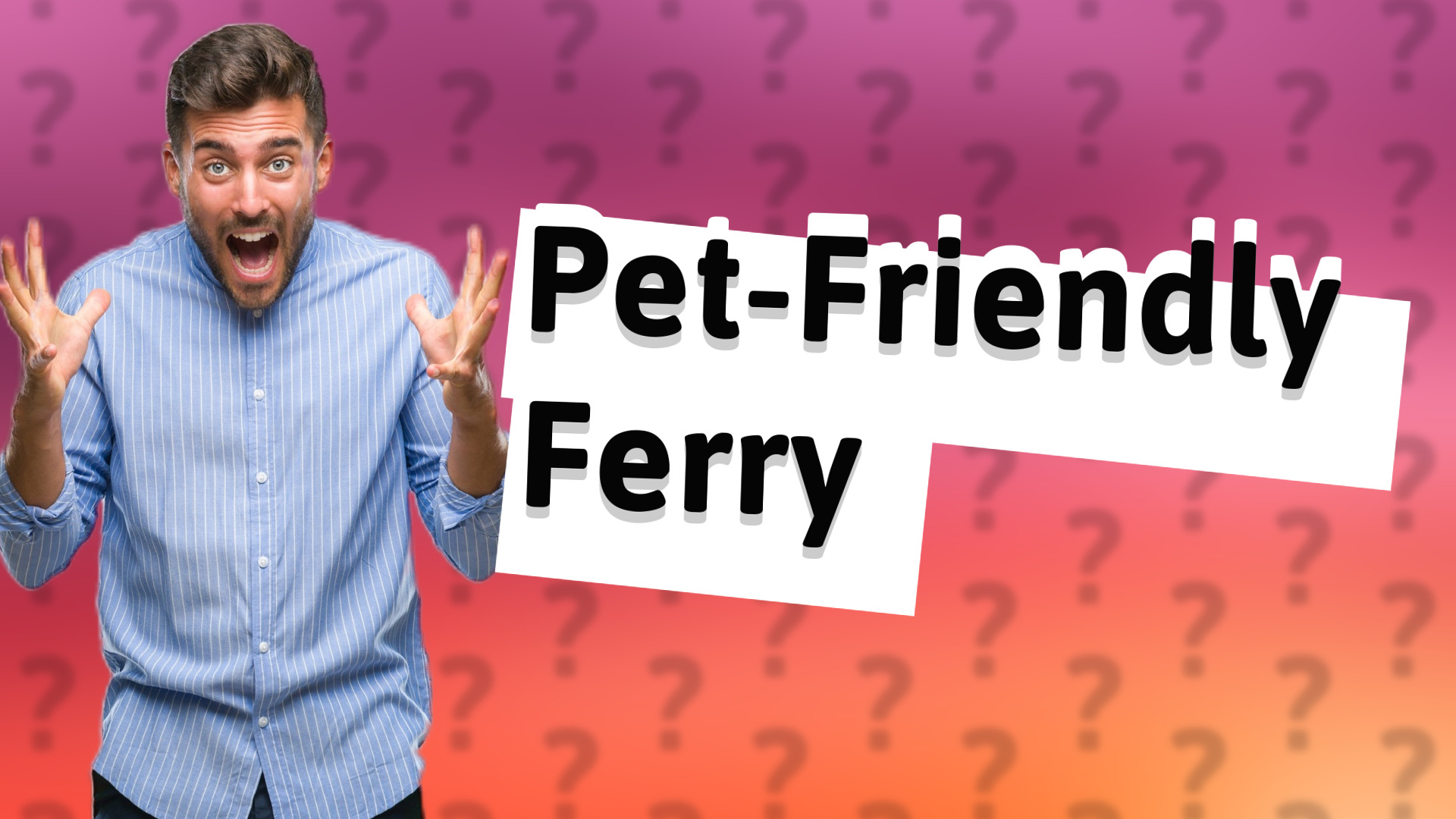 Pet-Friendly Ferry
