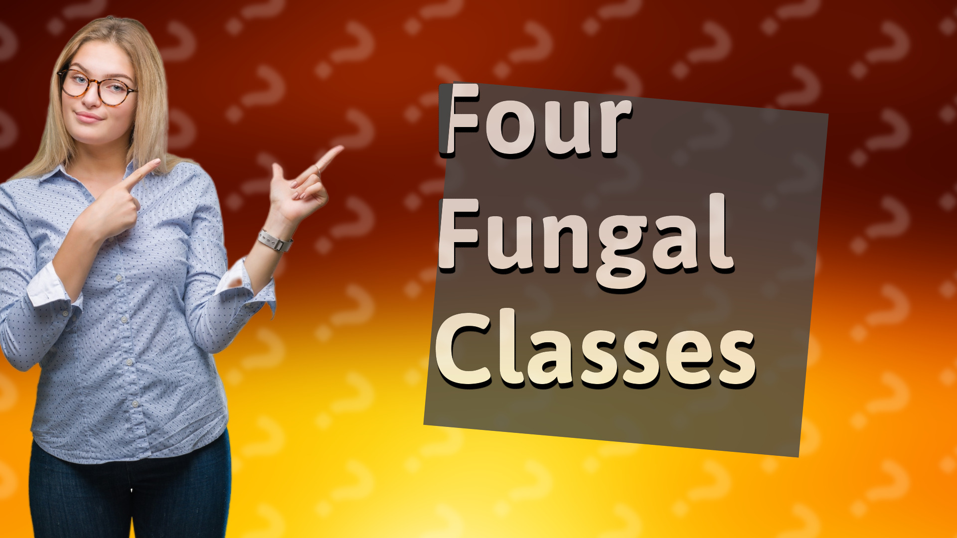 Four Fungal Classes