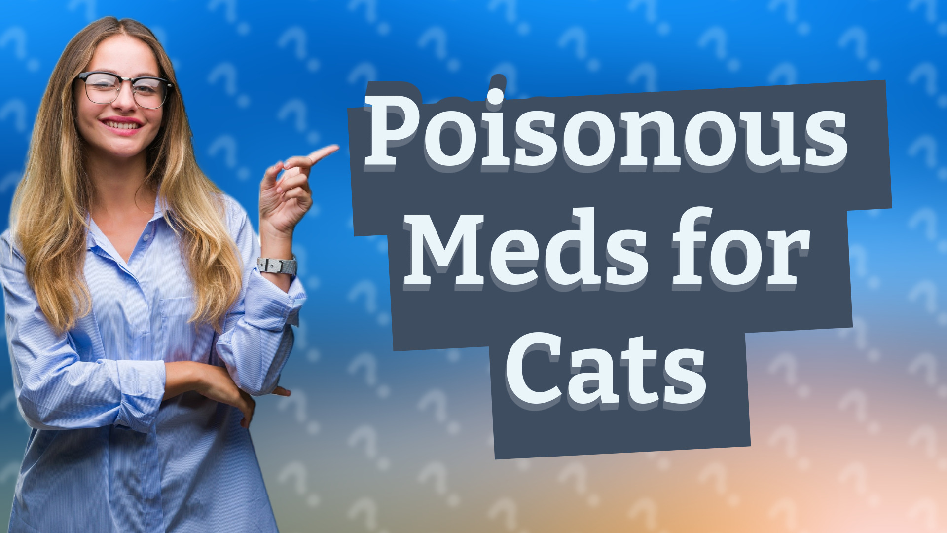 Poisonous Meds for Cats