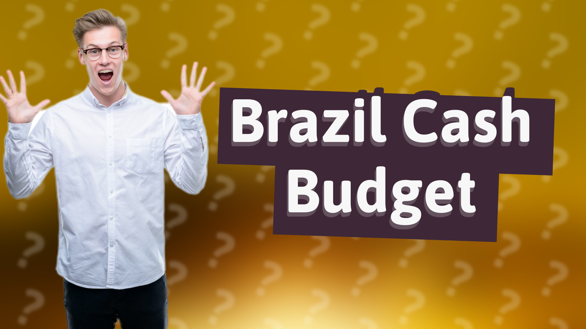 Brazil Cash Budget