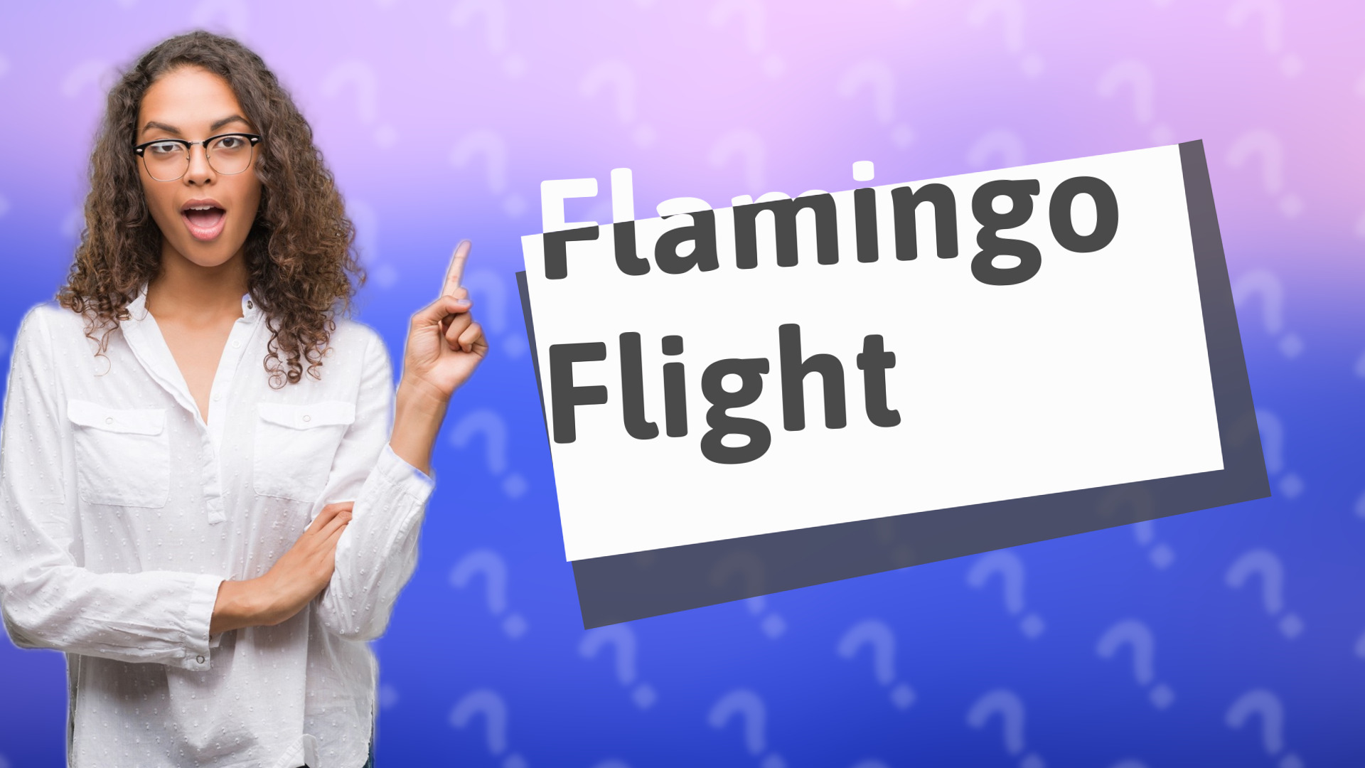 Flamingo Flight