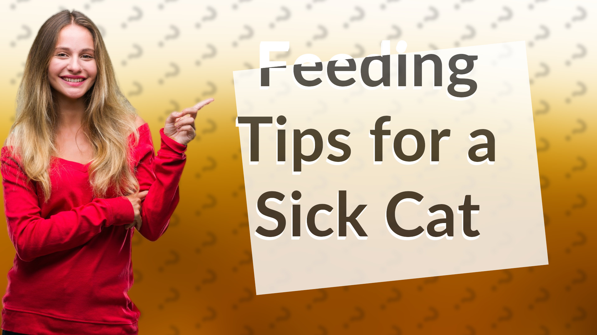 Feeding Tips for a Sick Cat