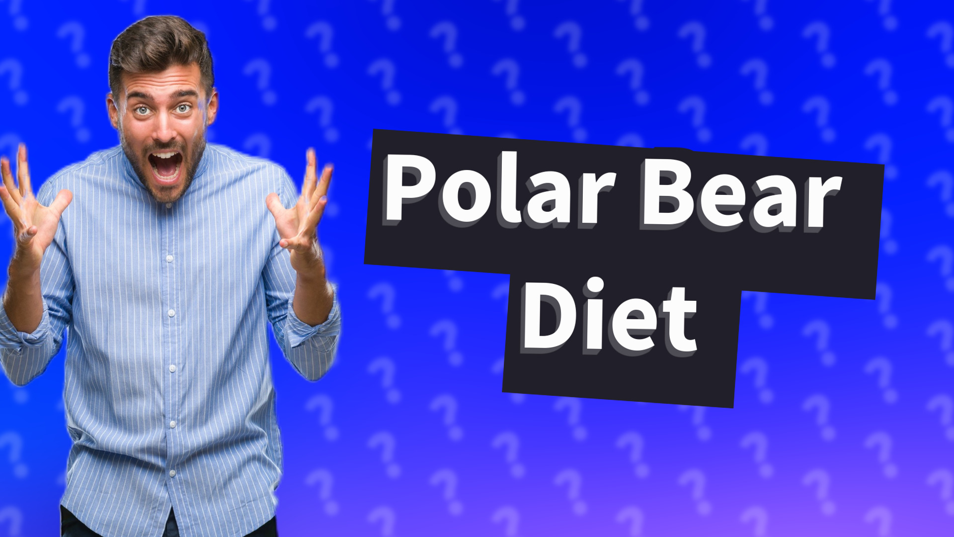 Polar Bear Diet