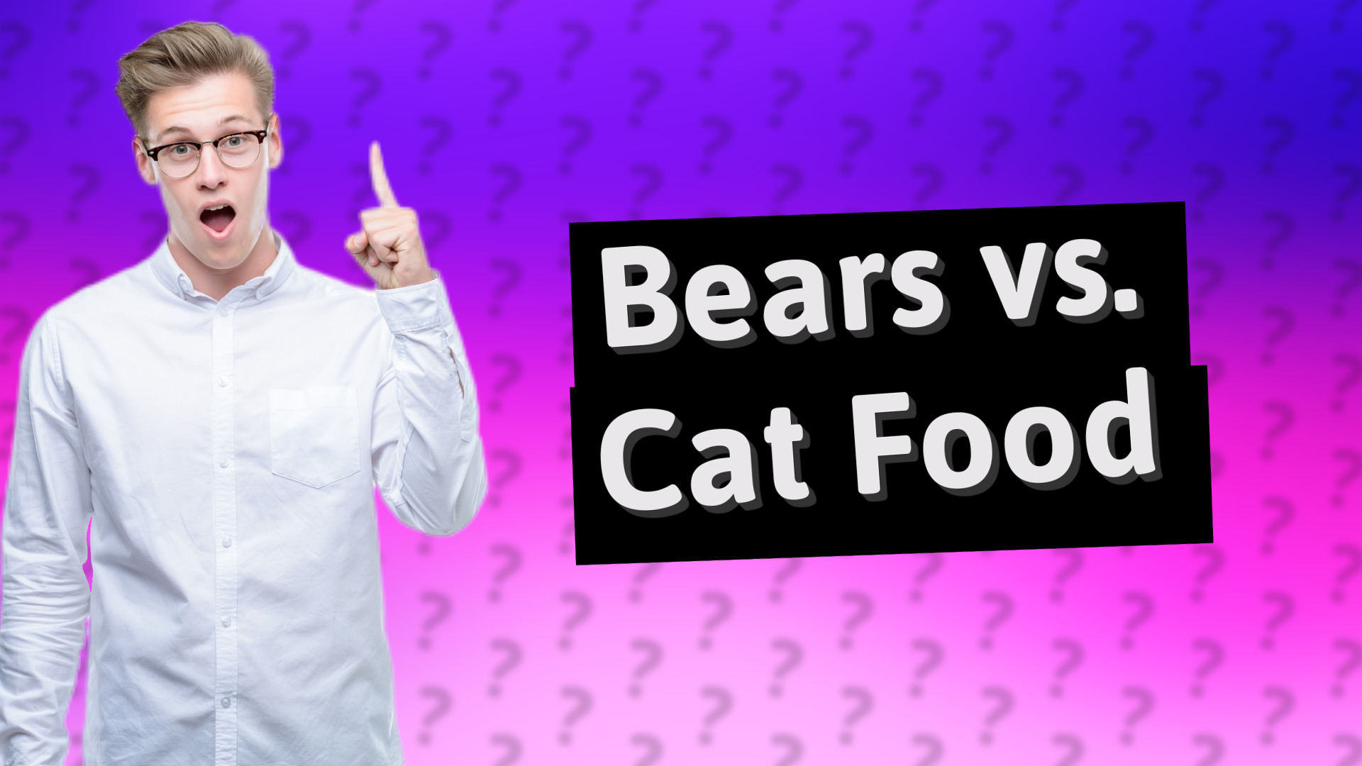 Bears vs. Cat Food