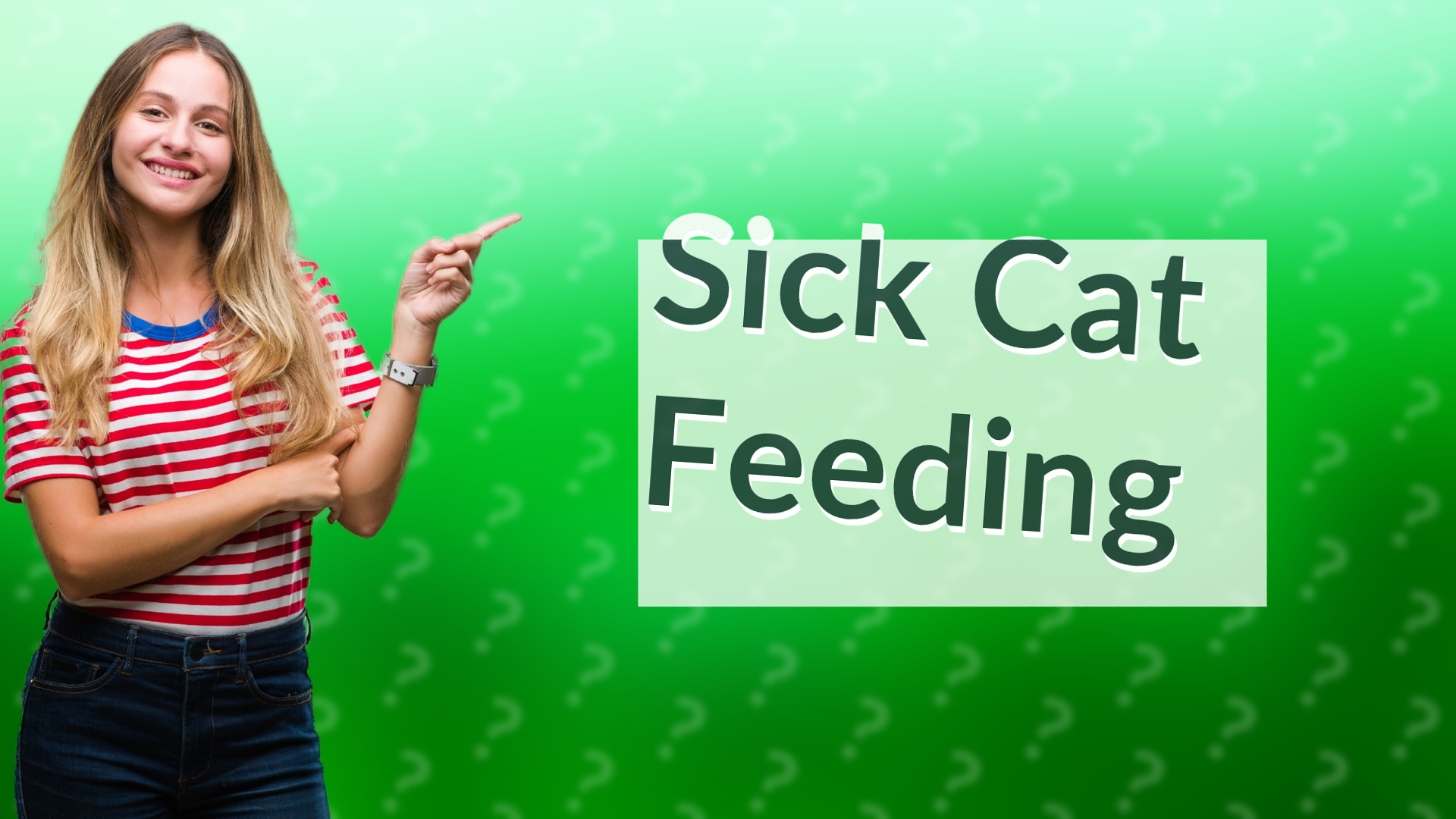 Sick Cat Feeding