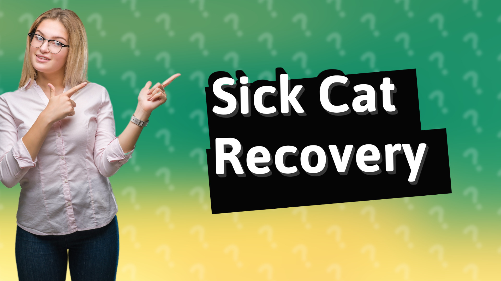 Sick Cat Recovery