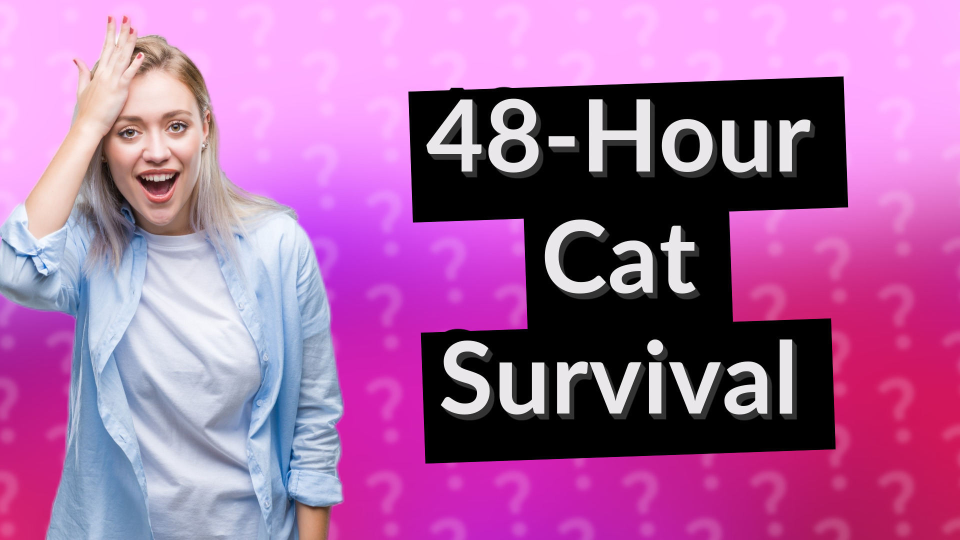 48-Hour Cat Survival