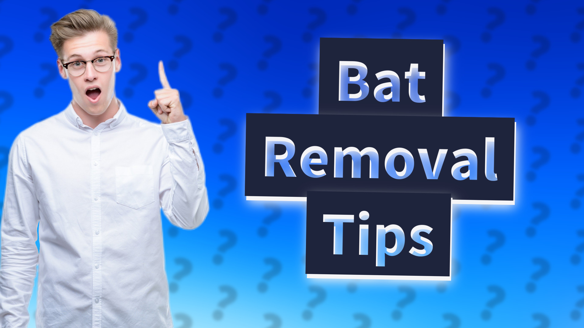 Bat Removal Tips