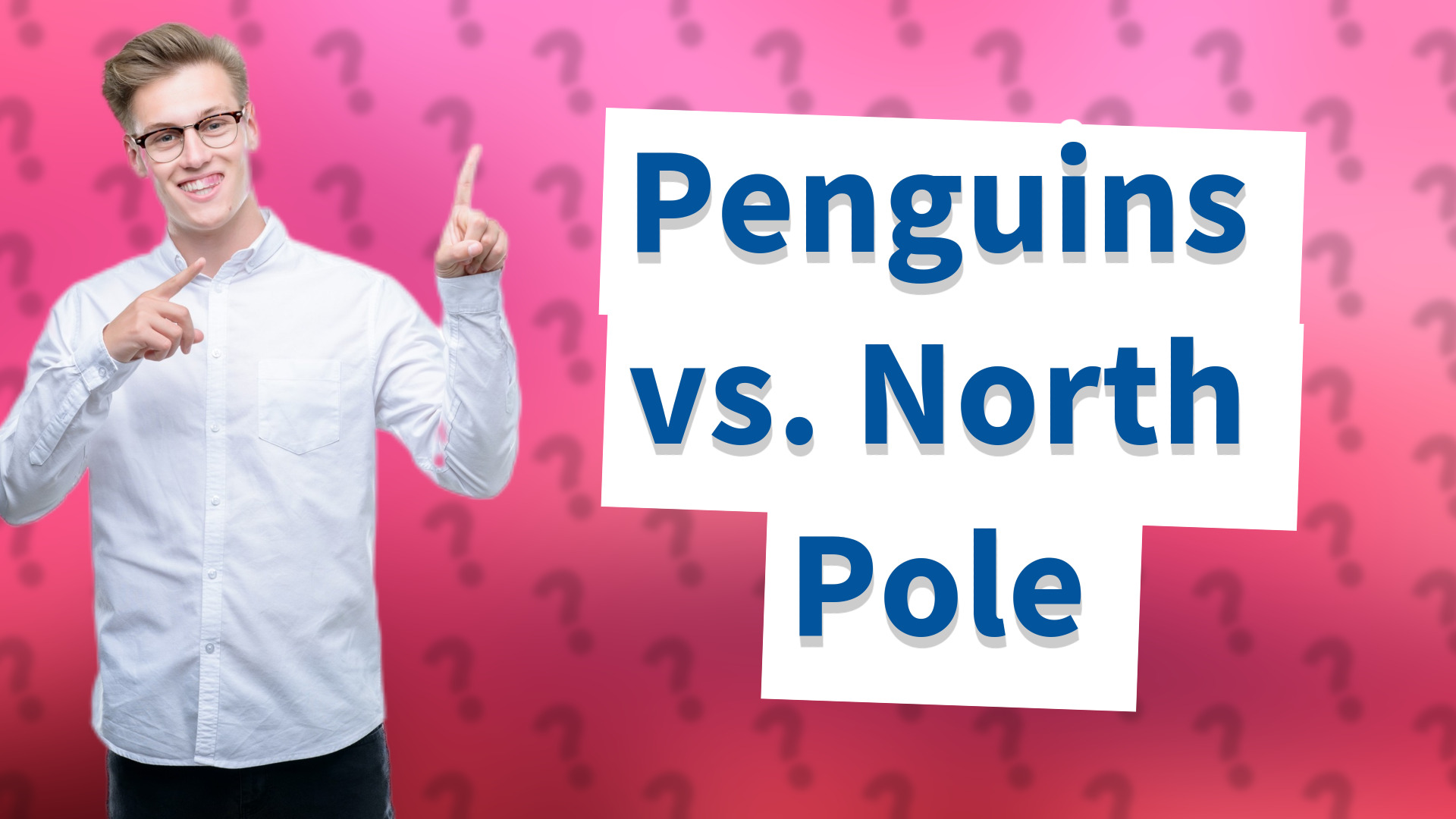 Penguins vs. North Pole