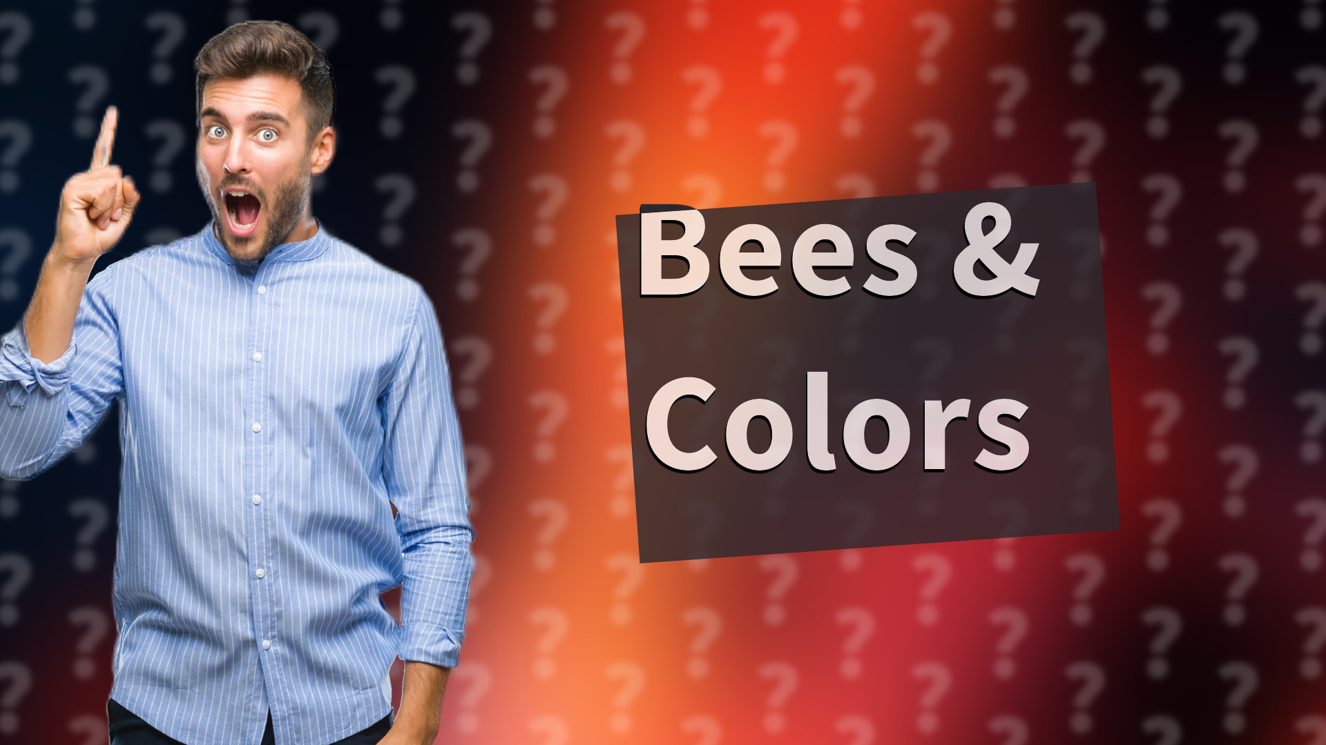 Bees & Colors