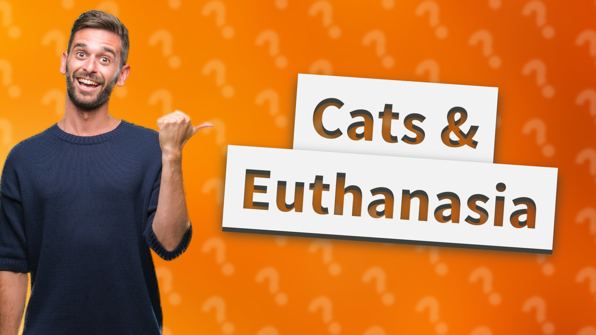 Cats & Euthanasia