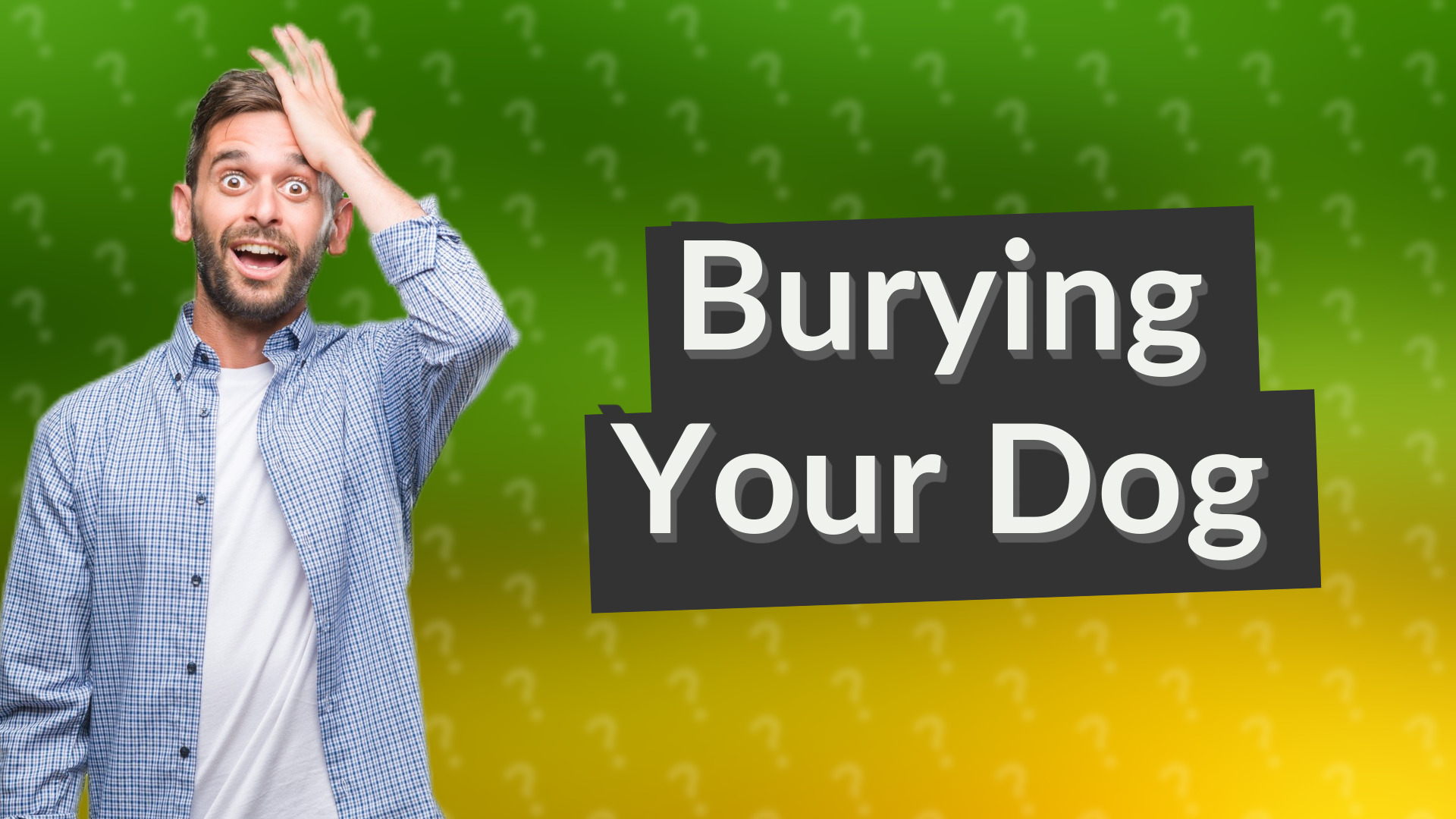 Burying Your Dog