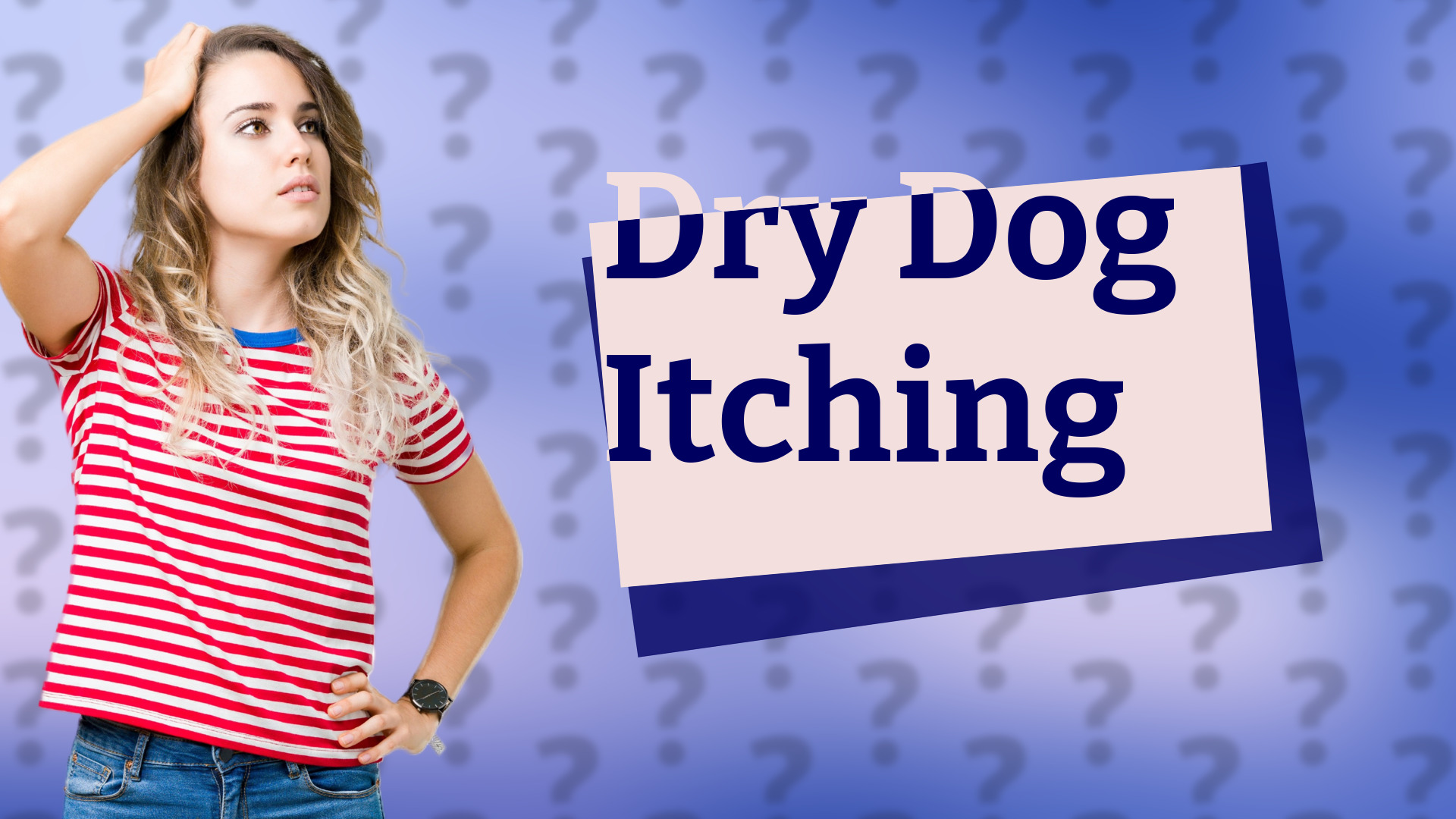 Dry Dog Itching