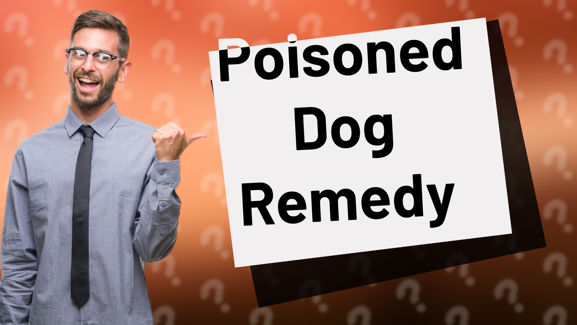 Poisoned Dog Remedy