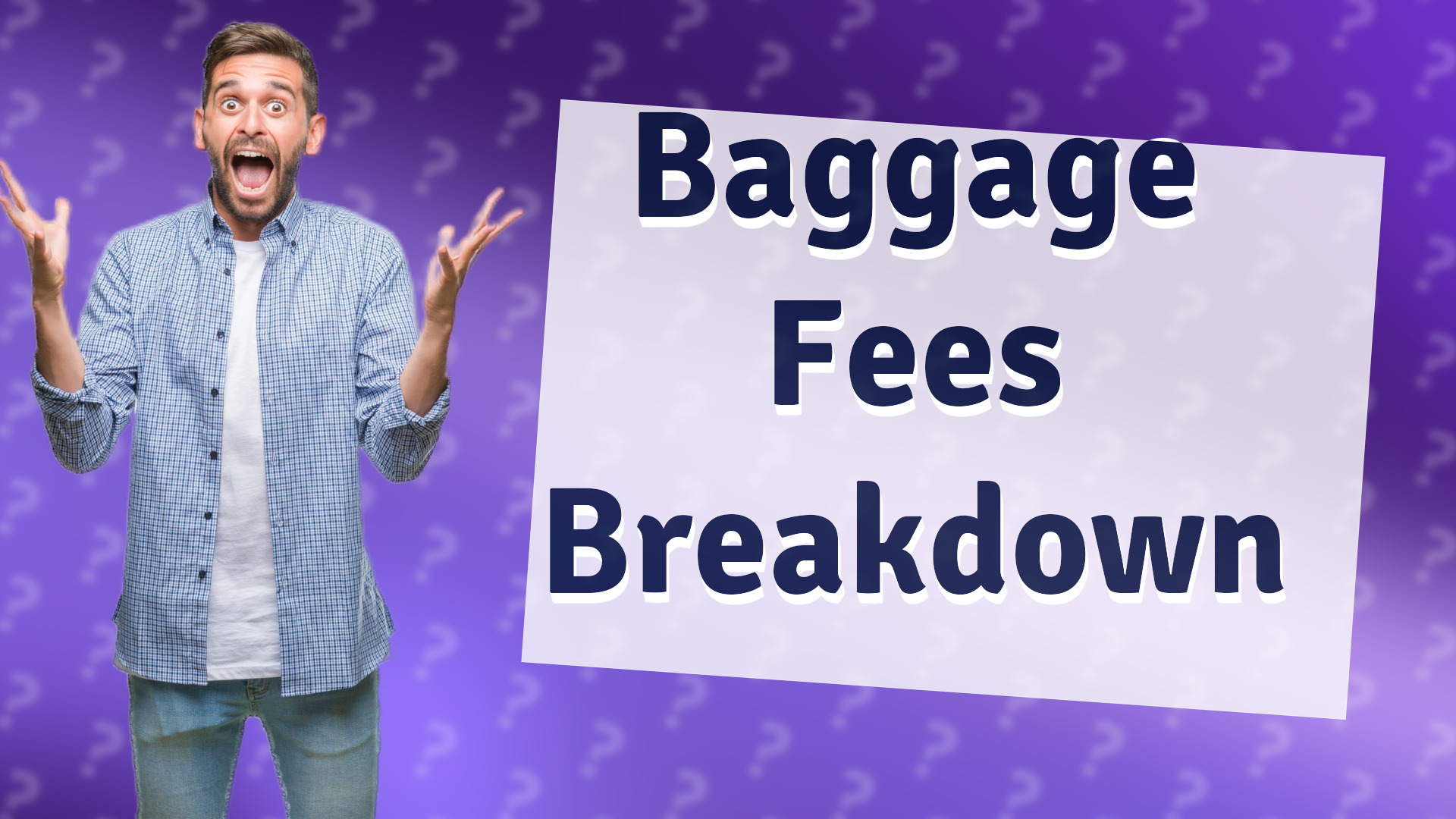 Baggage Fees Breakdown
