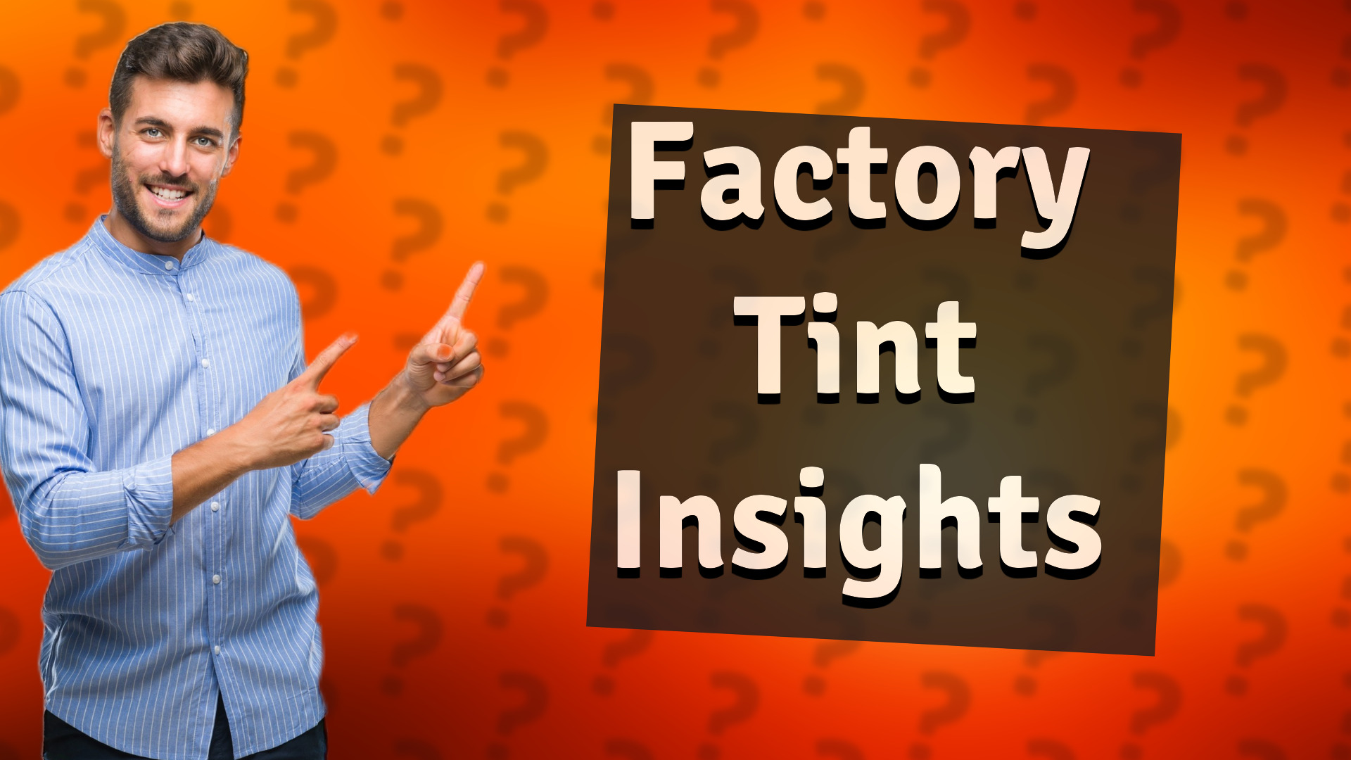 Factory Tint Insights
