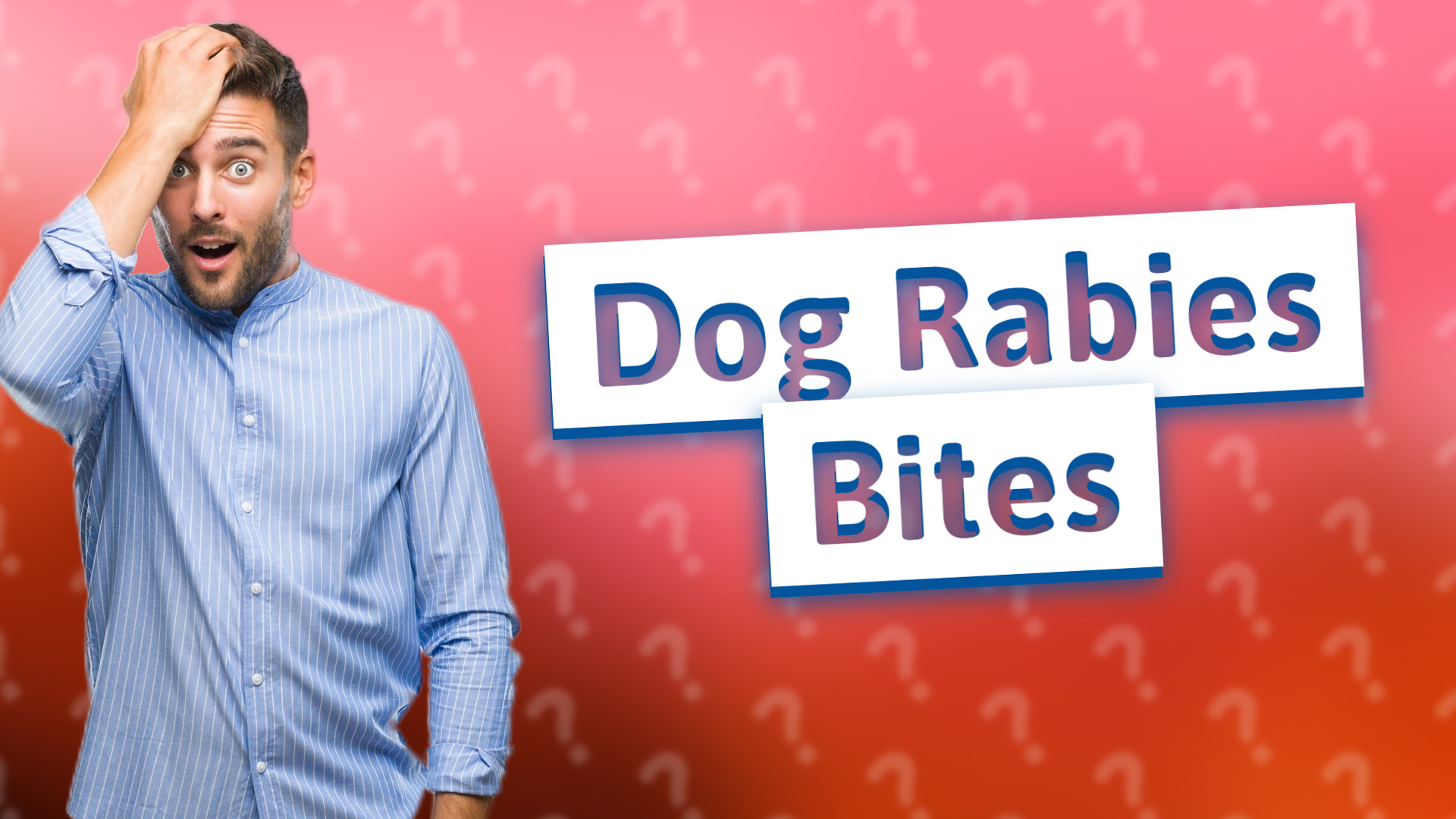 Dog Rabies Bites