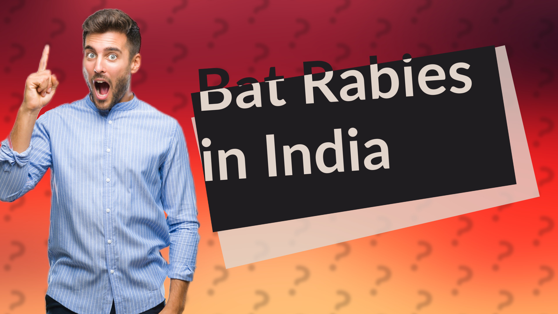 Bat Rabies in India