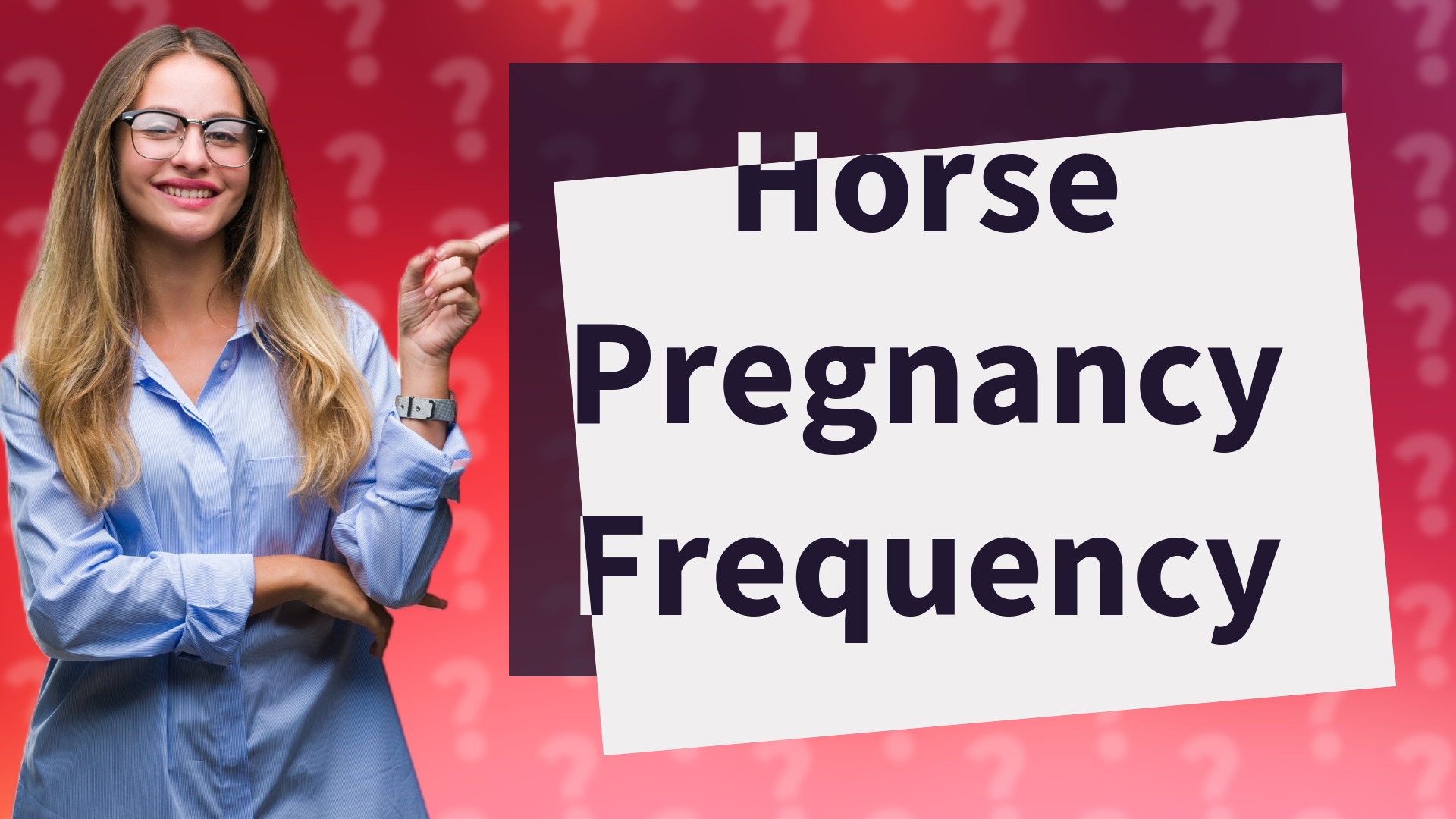 Horse Pregnancy Frequency