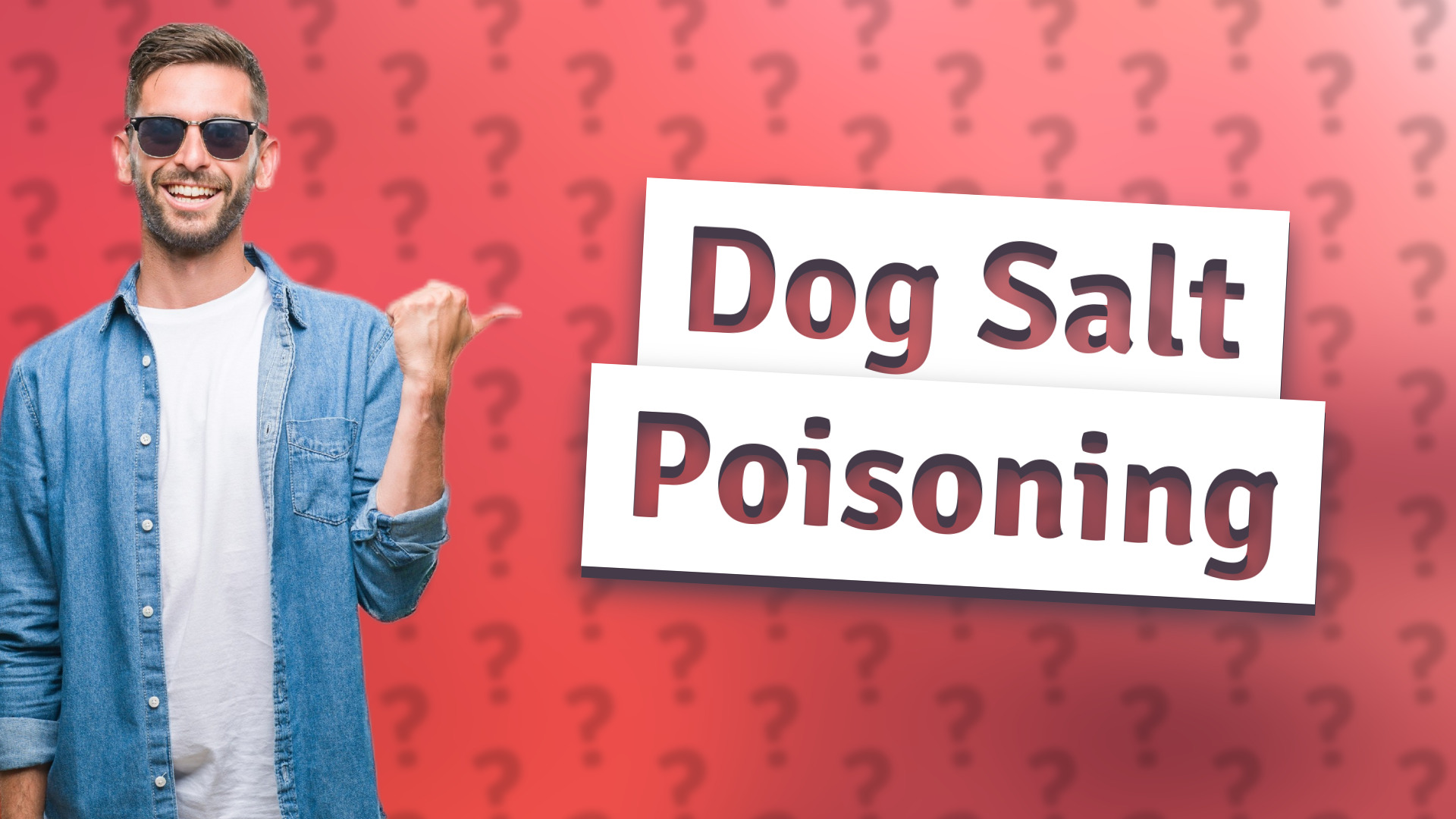 Dog Salt Poisoning