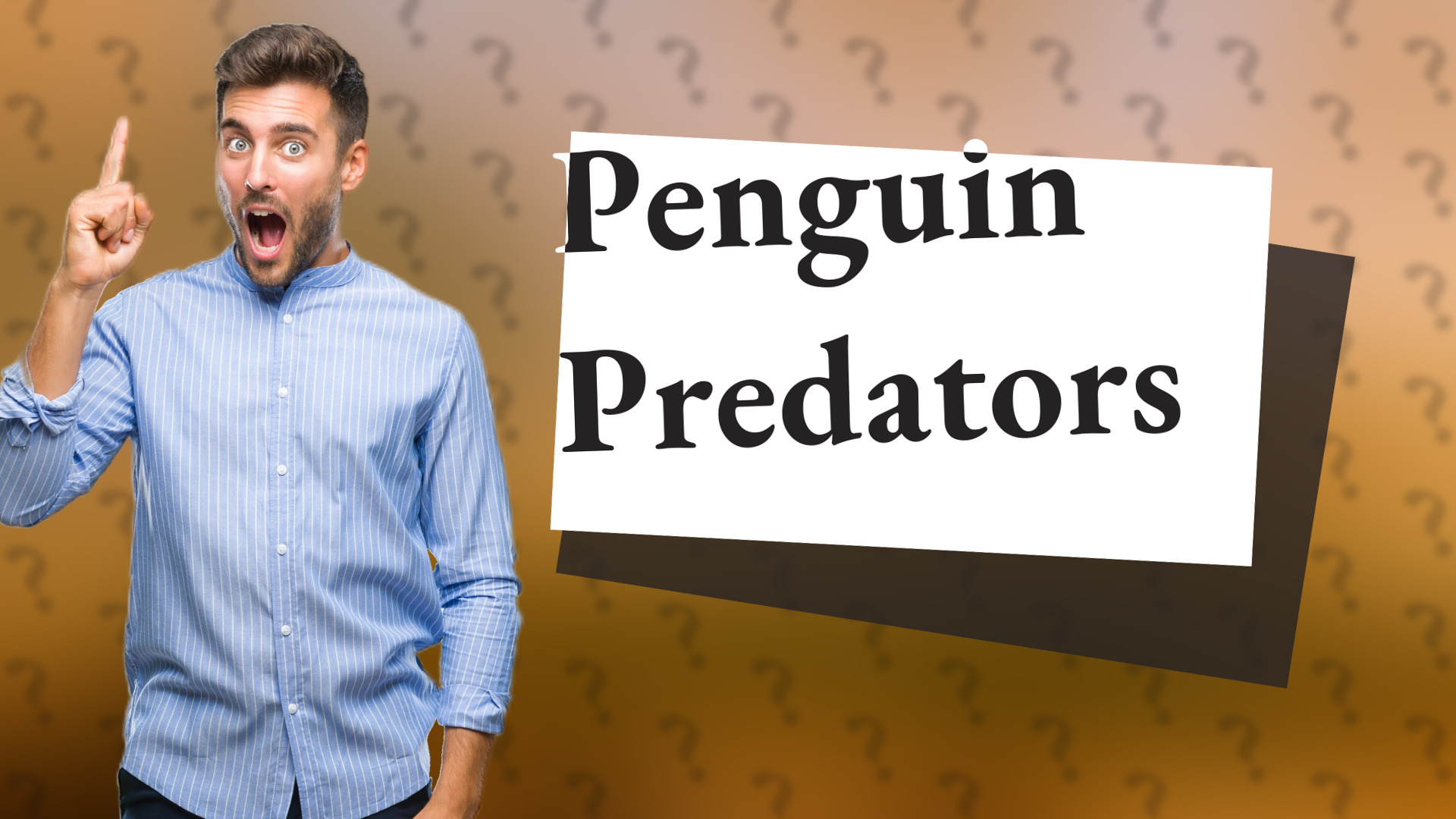 Penguin Predators