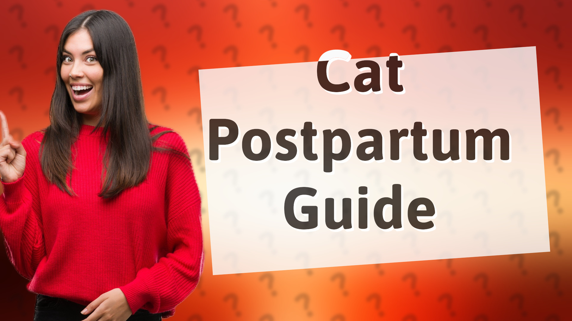 Cat Postpartum Guide