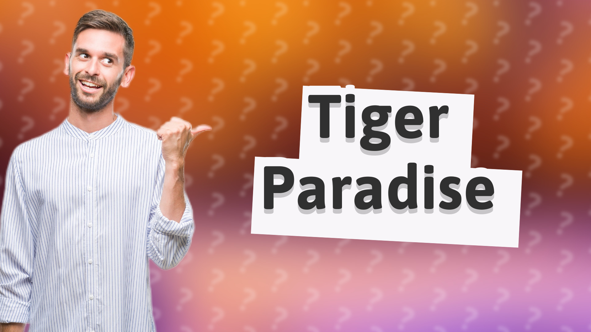 Tiger Paradise